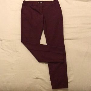Women’s Express Columnist Pants